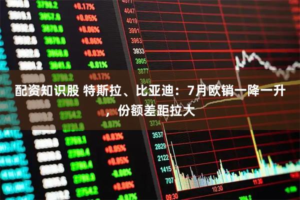 配资知识股 特斯拉、比亚迪：7月欧销一降一升，份额差距拉大