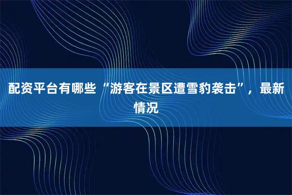 配资平台有哪些 “游客在景区遭雪豹袭击”，最新情况