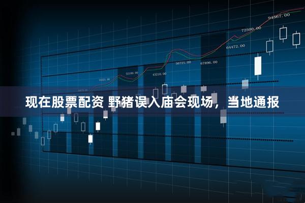 现在股票配资 野猪误入庙会现场，当地通报